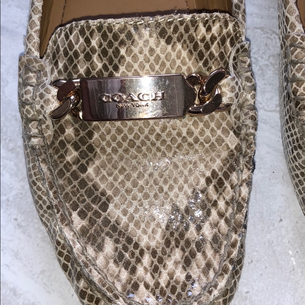 Olive Sand Printed Snake Coach Shoes - Picture 5 of 16
